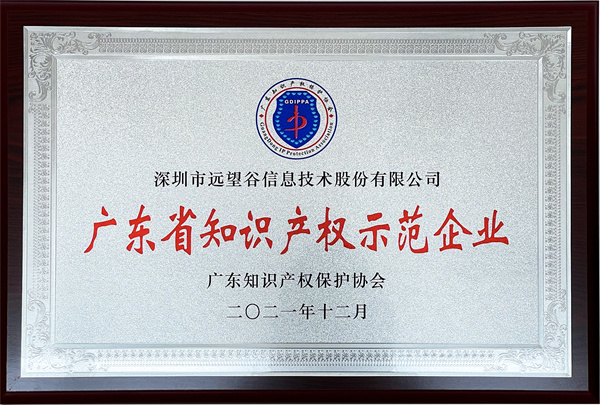 2021年广东省知识产权示范企业_7790cnm必发集团_副本.jpg